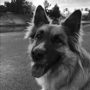 Meet your Posher, Samantha